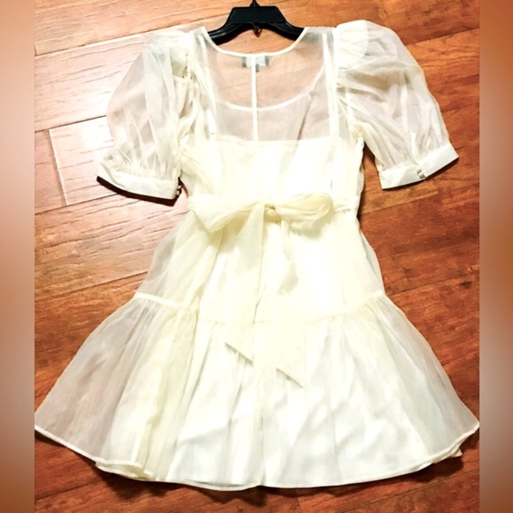 NWOT Danielle Bernstein Puff Sleeve Mini Dress